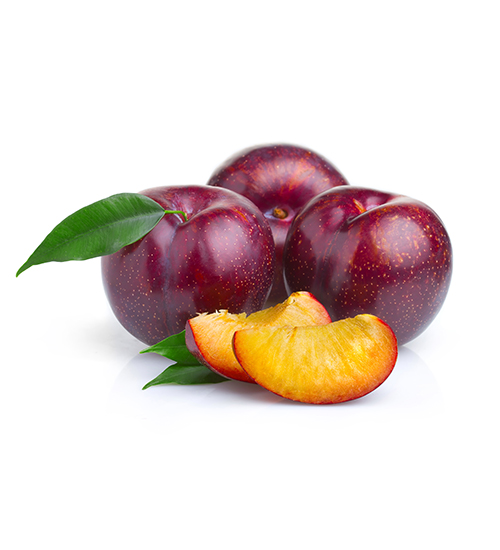 Ripe purple plum fruits with green leaves isolated