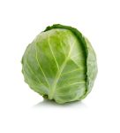 Green cabbage vegetable isolated on white