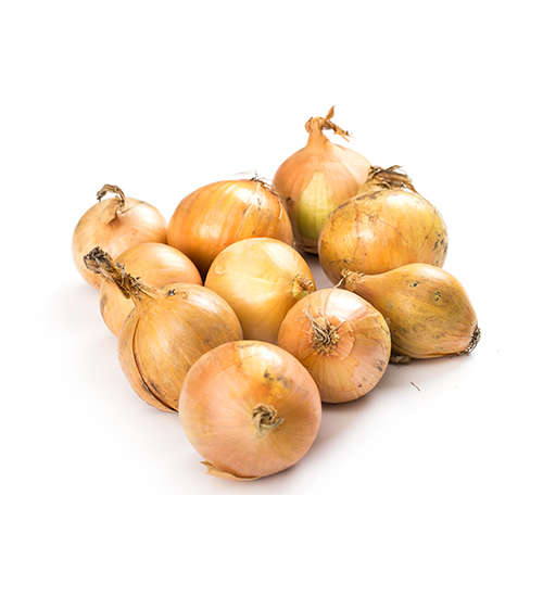 Vegetables on a white background