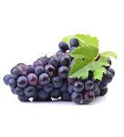Grapes on a white background